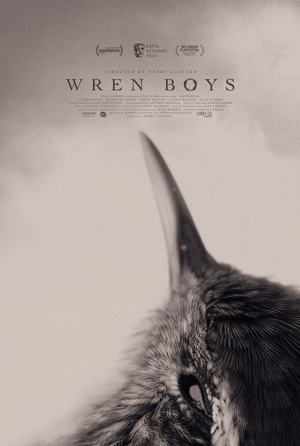 Wren Boys - Cover