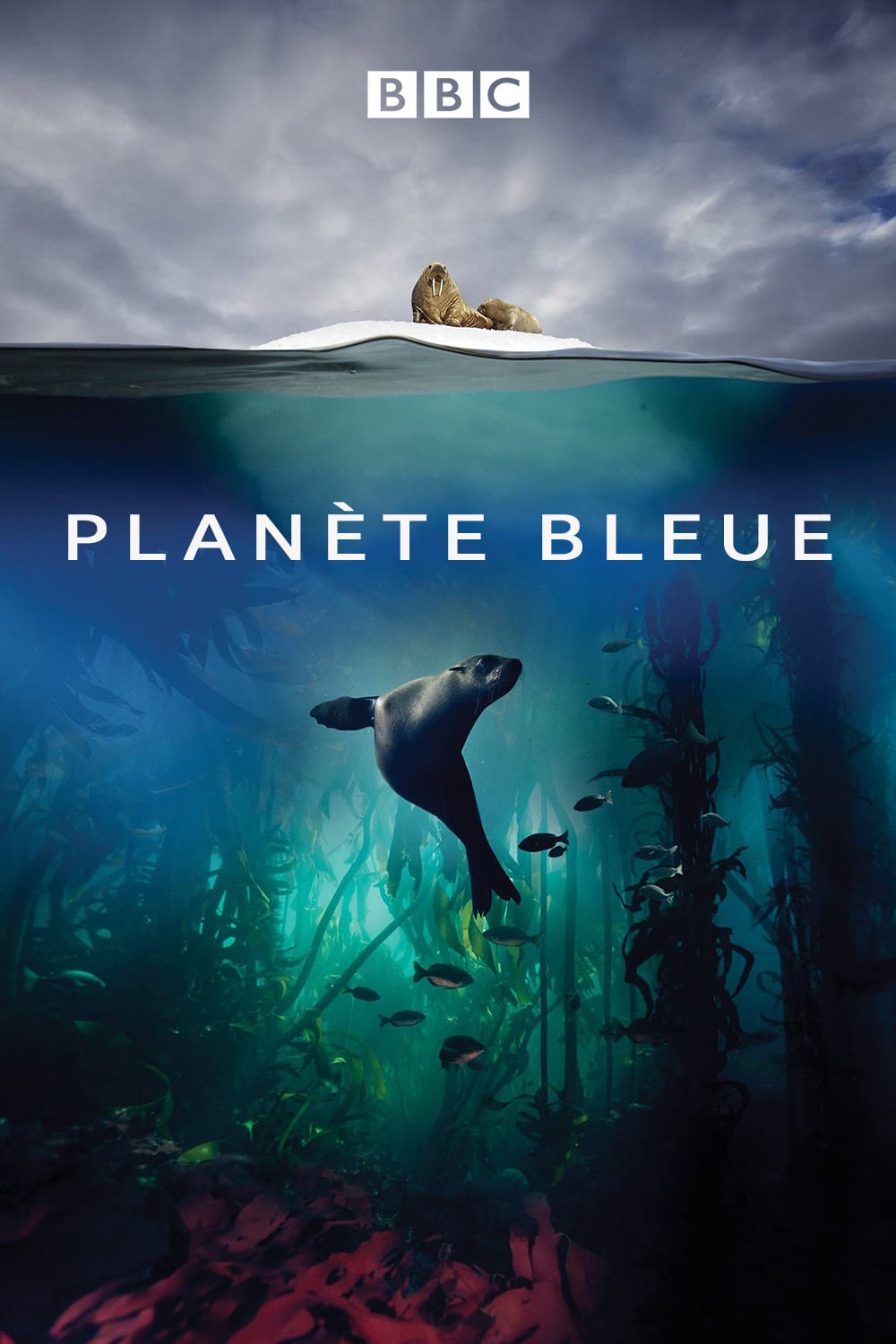 Blue Planet II - Cover