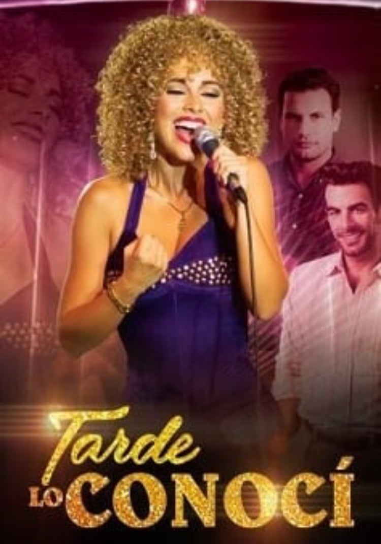 Tarde lo conocí - Cover