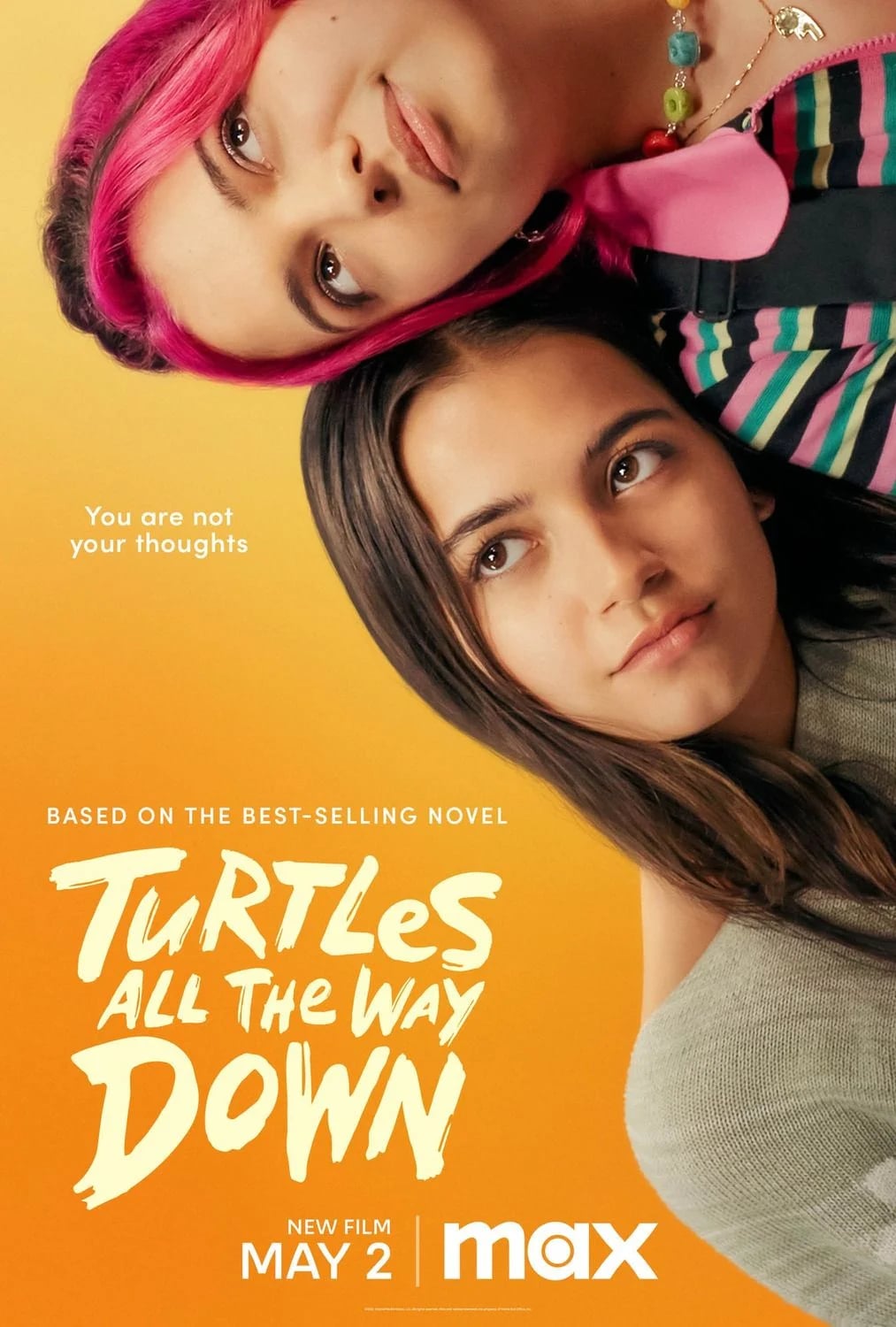 Turtles All The Way Down - Cover
