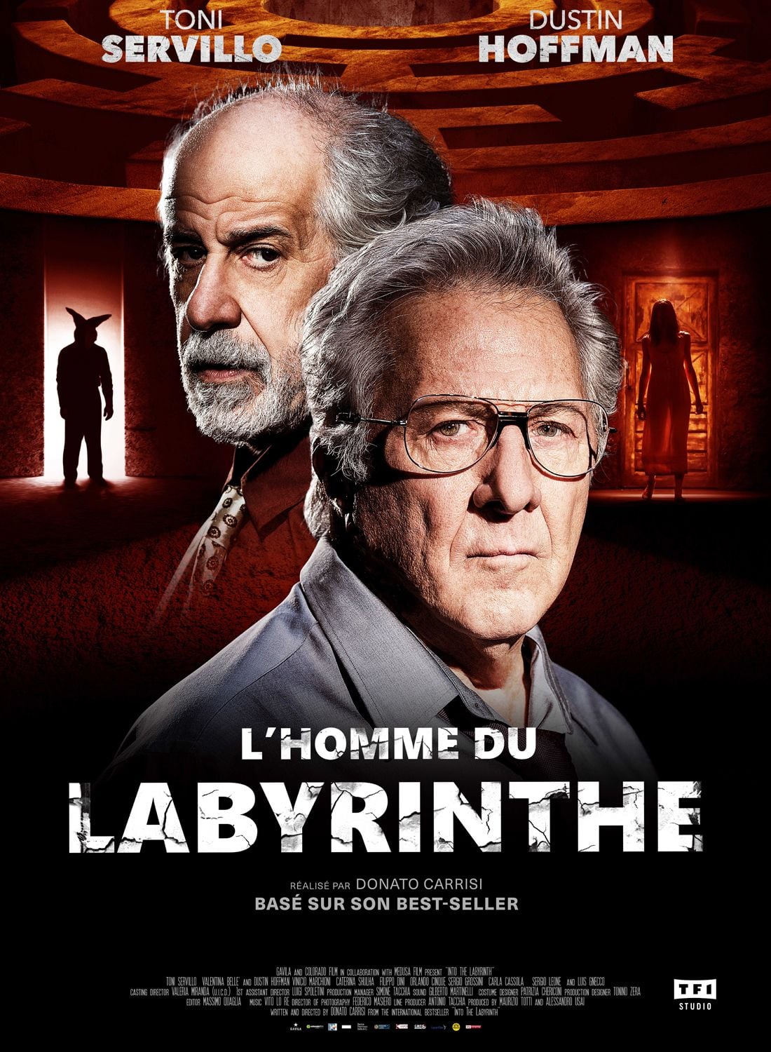 L'Homme du Labyrinthe - Cover