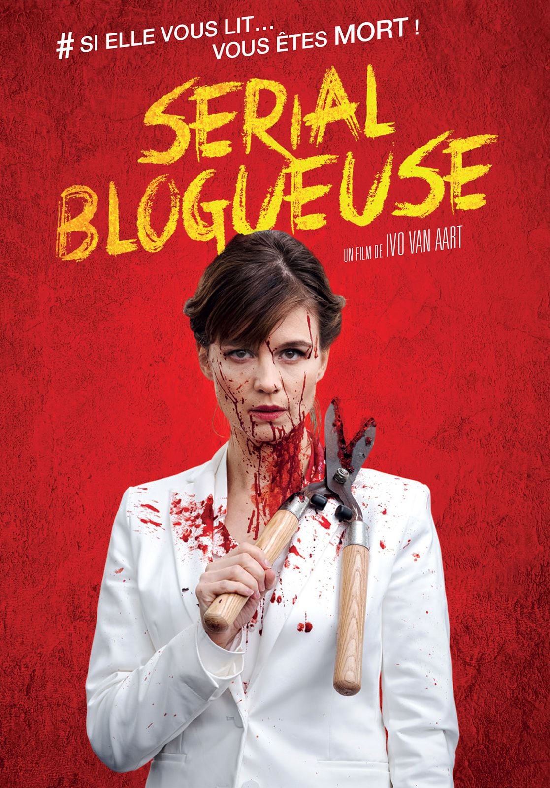 Serial Blogueuse - Cover