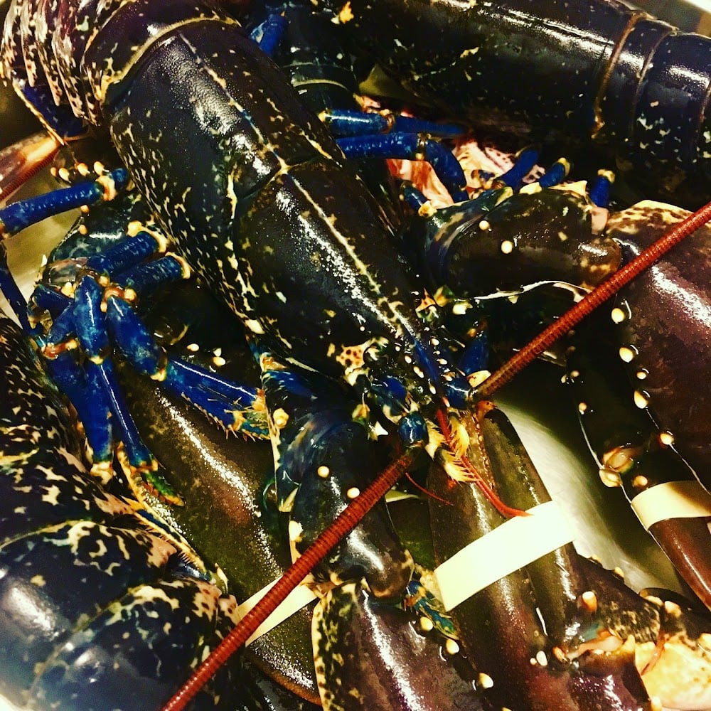 La table de Max - Cover