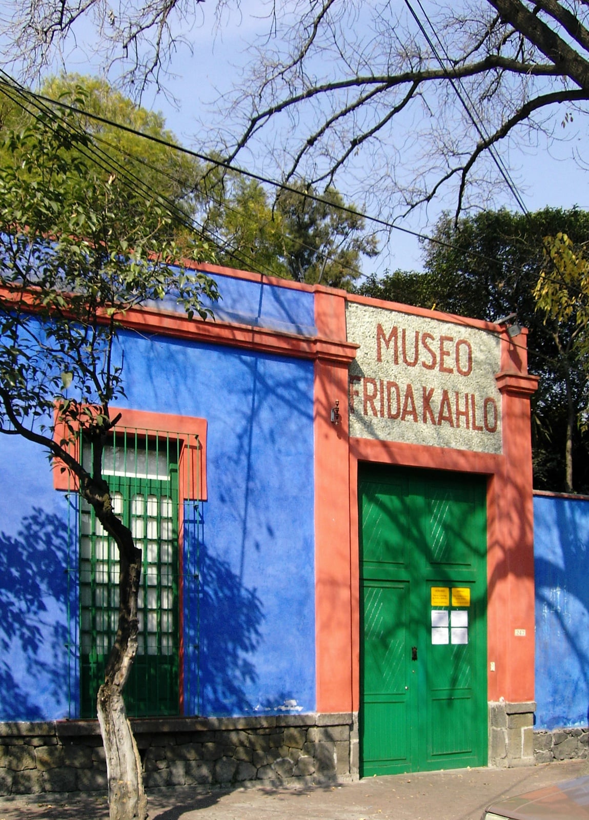 Frida Kahlo Museum - Cover