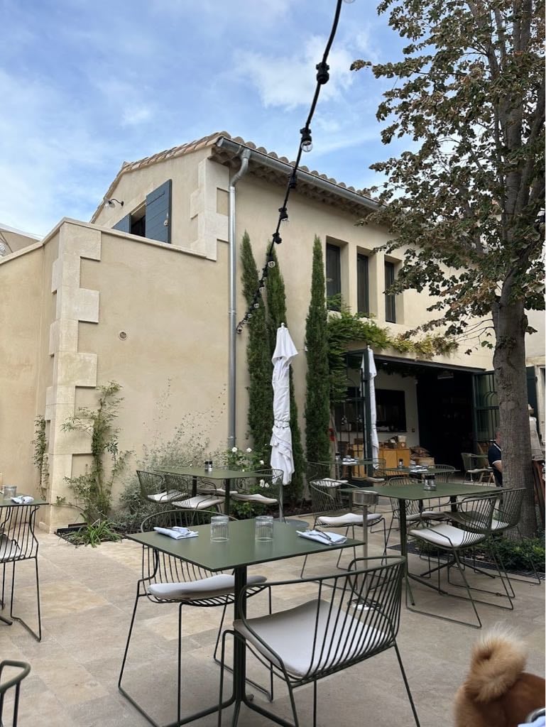 Têtes d'Ail - Cover