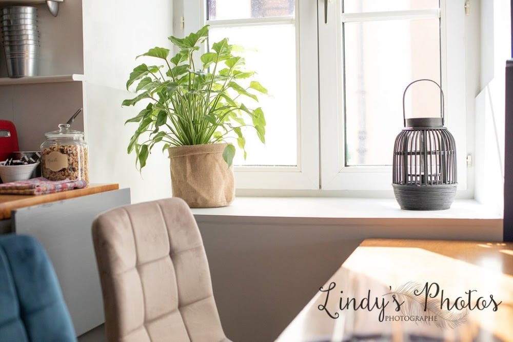 L'Esplanade Hôtel-Restaurant - Le Pellerin 44 - Cover