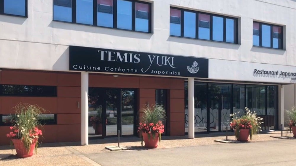 Temis Yuki - Cover