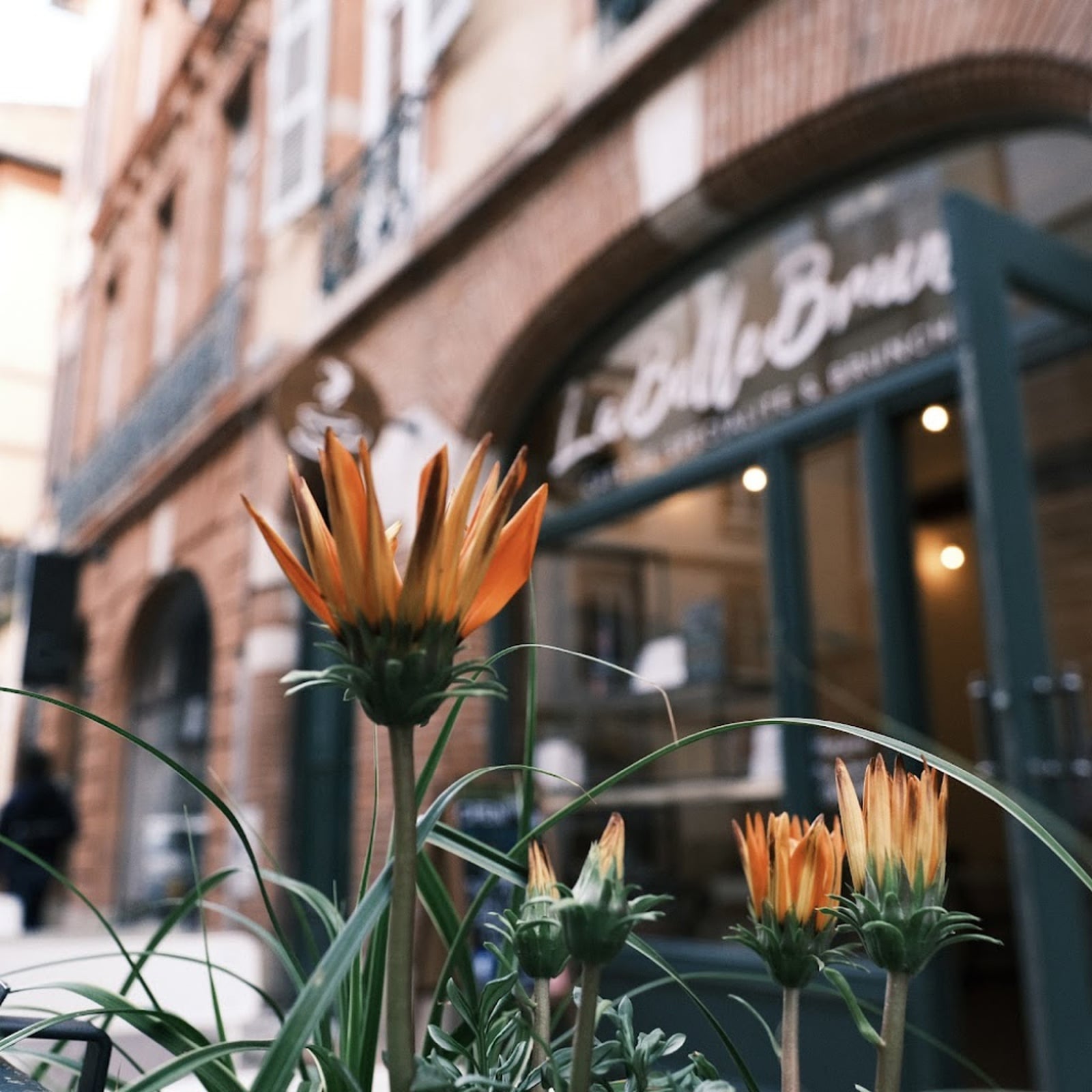 LaBelleBrune - Cover