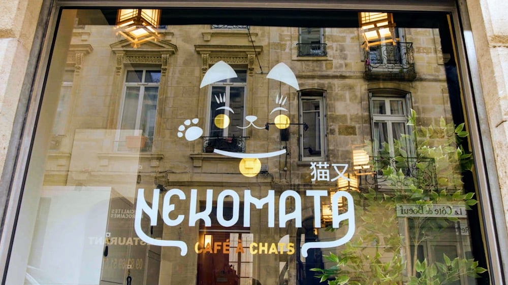 NEKOMATA - Café à chats - Cover