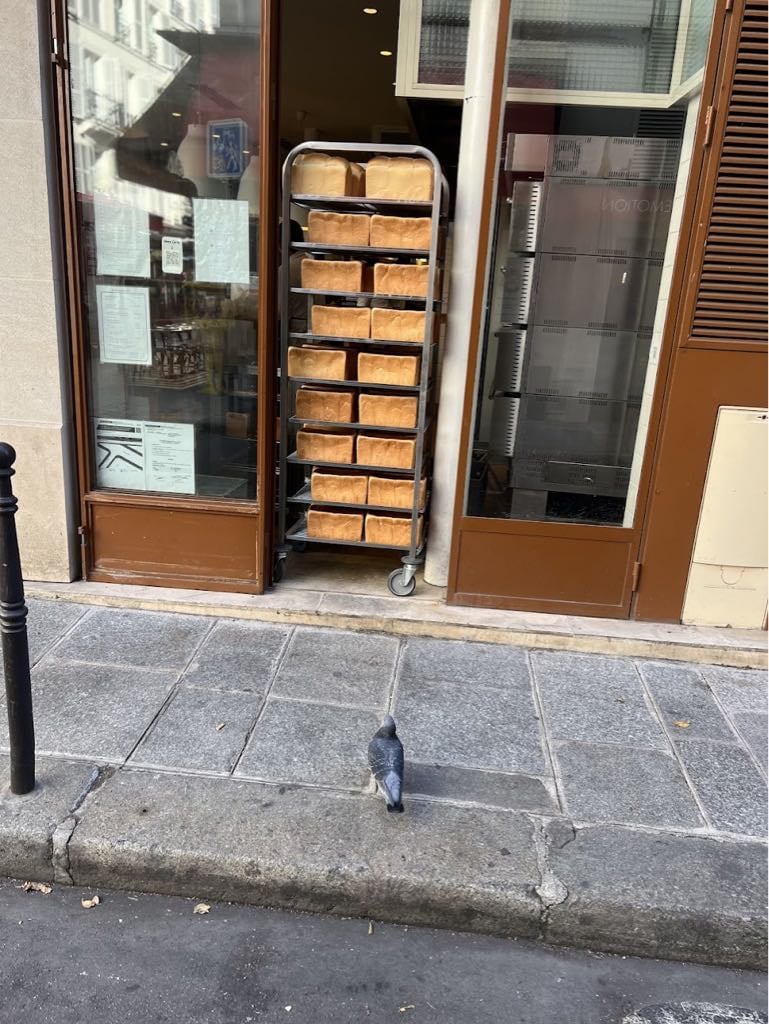 Carré Pain de Mie - Cover