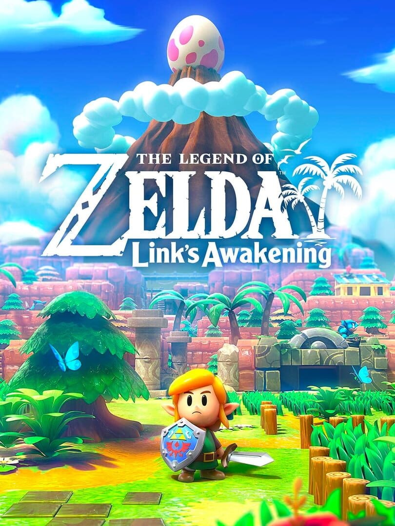 The Legend of Zelda: Link's Awakening - Memory Image