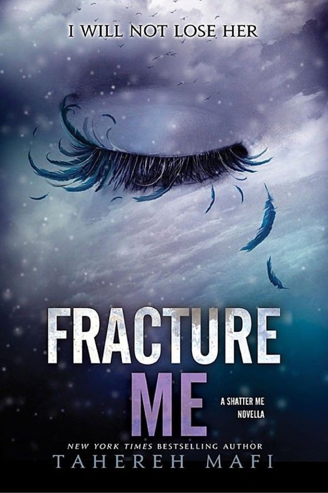 Fracture Me - Memory Image