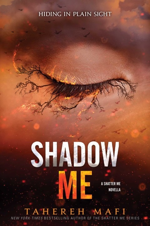 Shadow Me - Memory Image