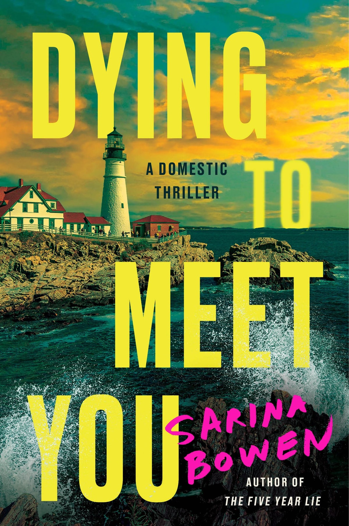 Dying to Meet You - Memory Image