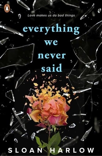 Everything We Never Said - Memory Image