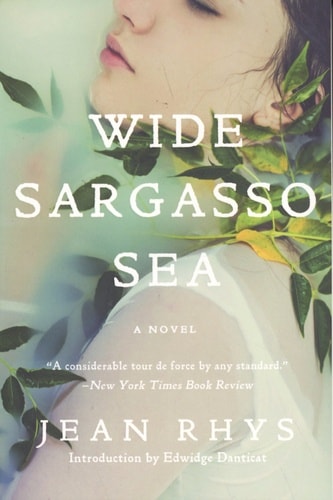 Wide Sargasso Sea - Memory Image