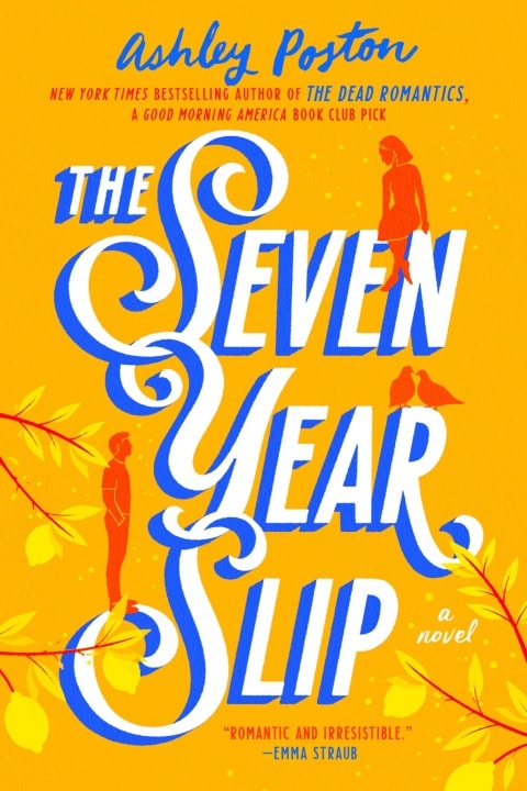 The Seven Year Slip - Memory Image