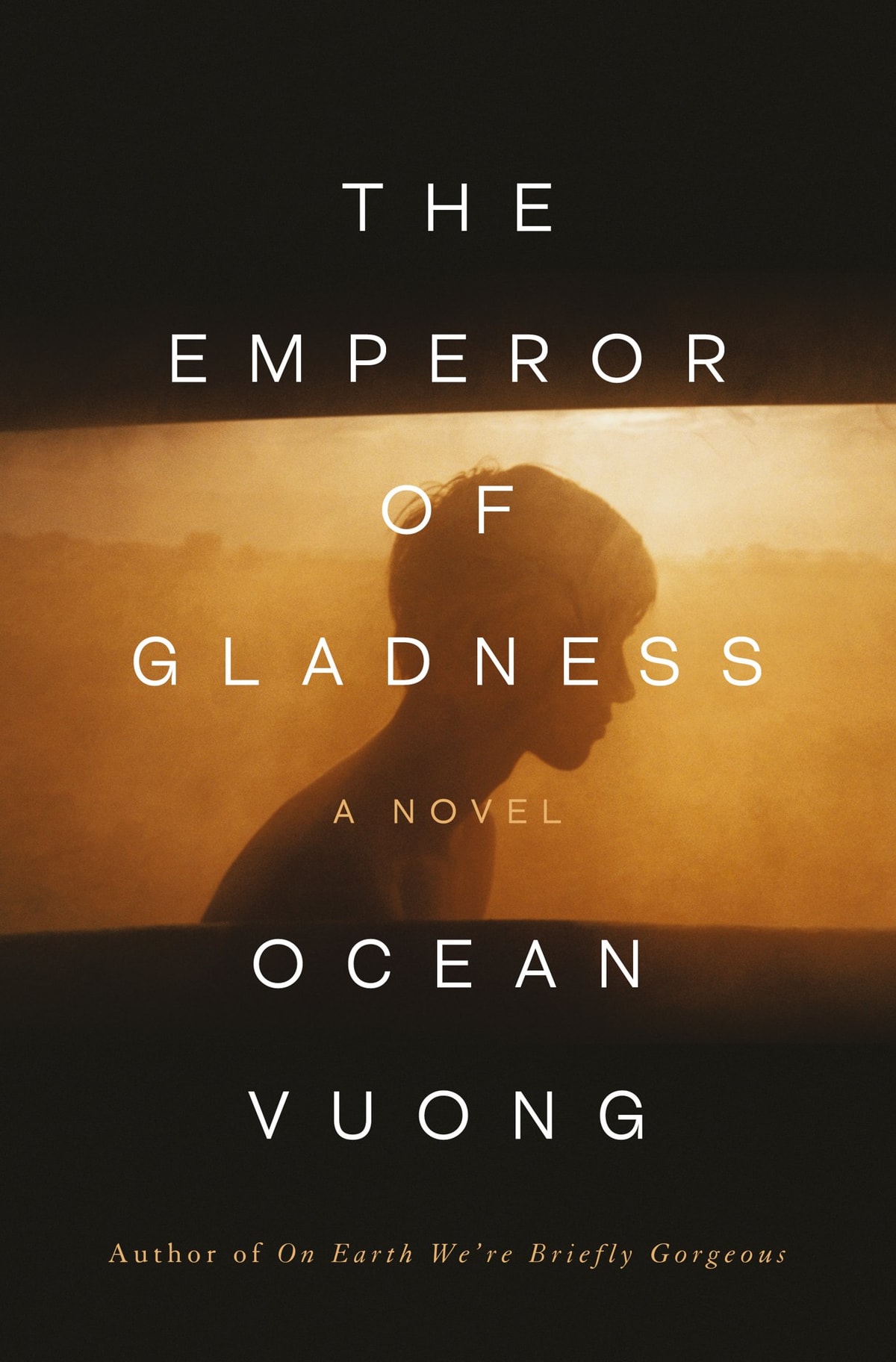 The Emperor of Gladness - Memory Image