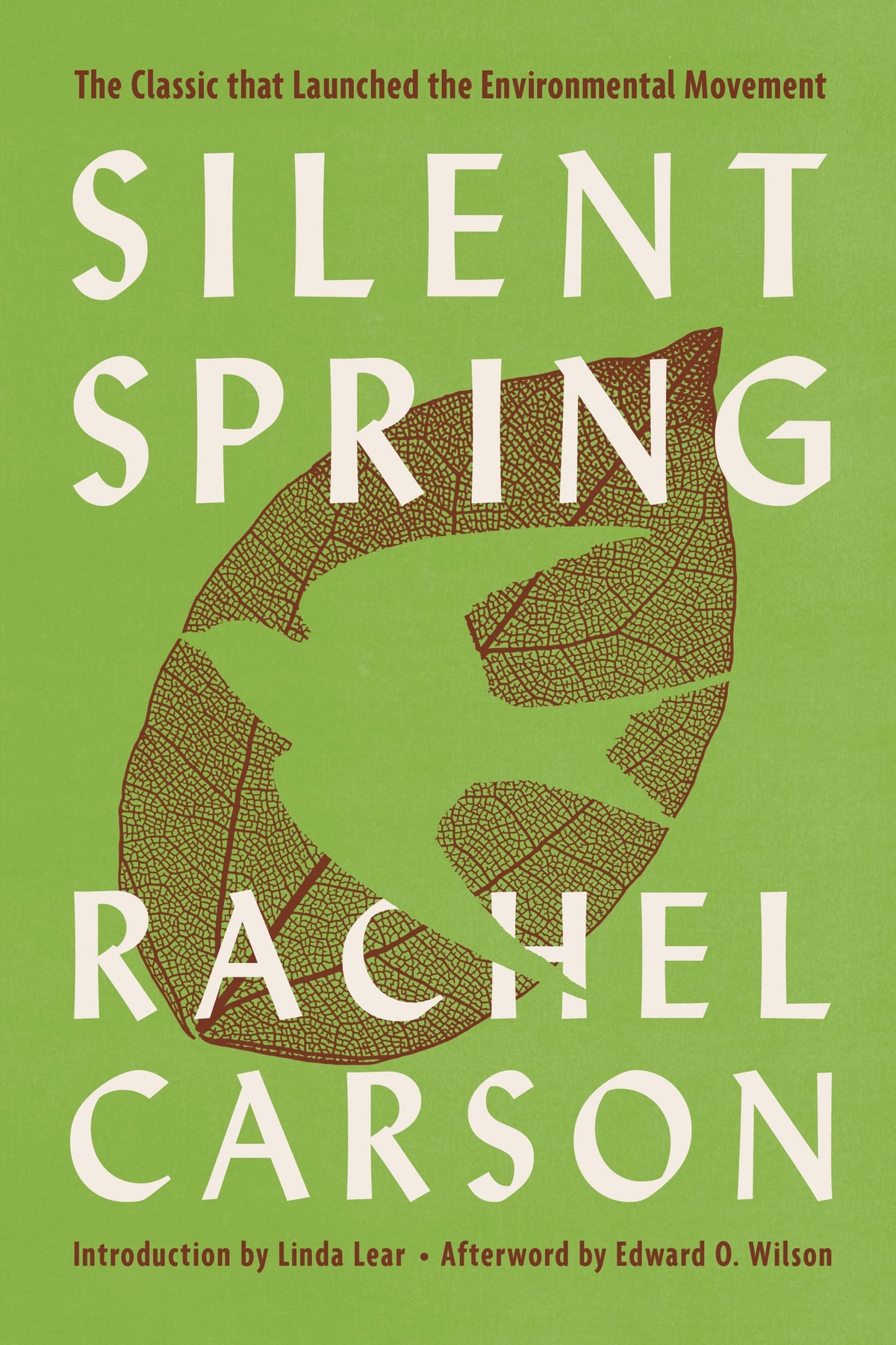 Silent Spring - Memory Image