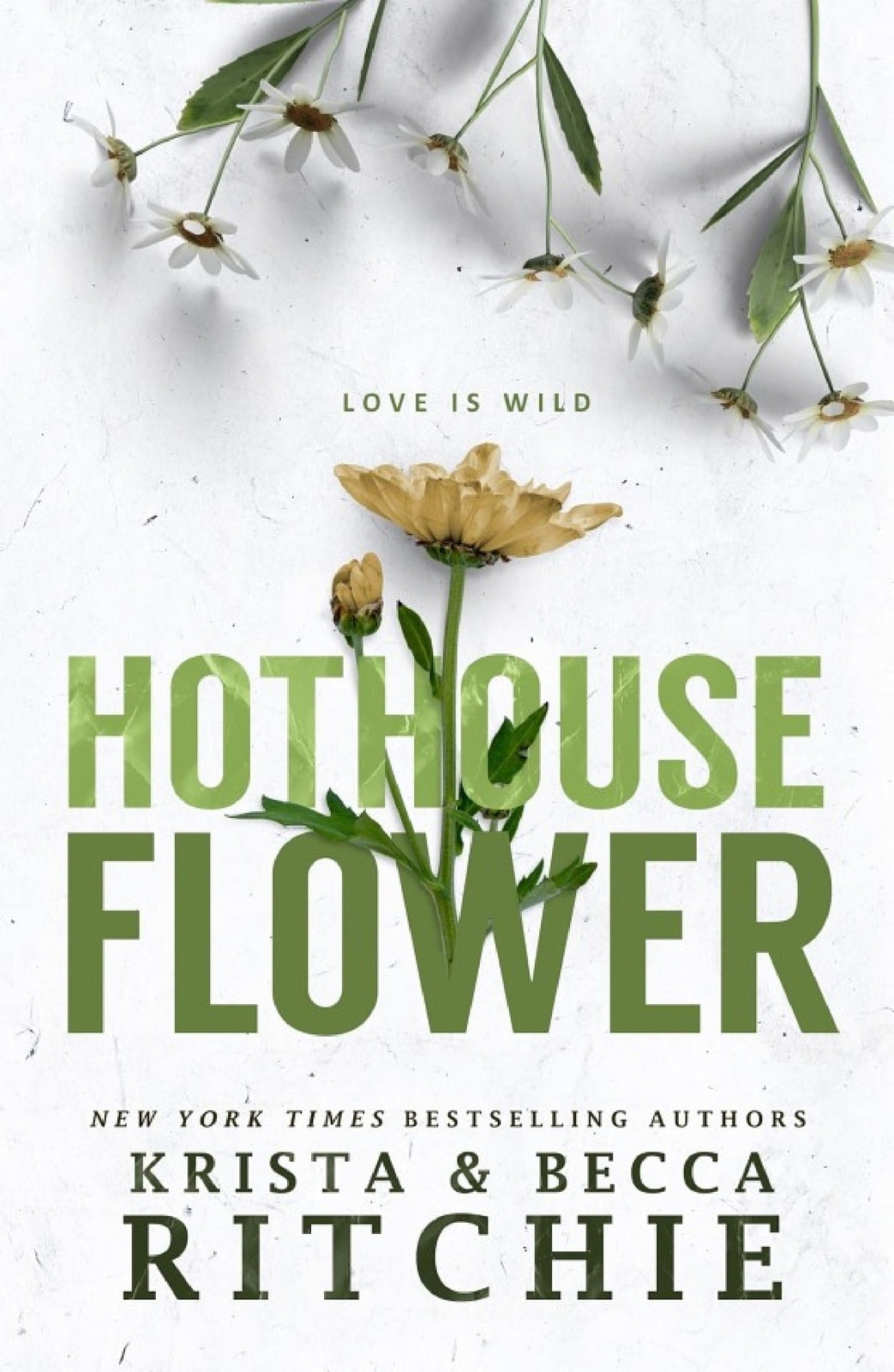 Hothouse Flower - Memory Image