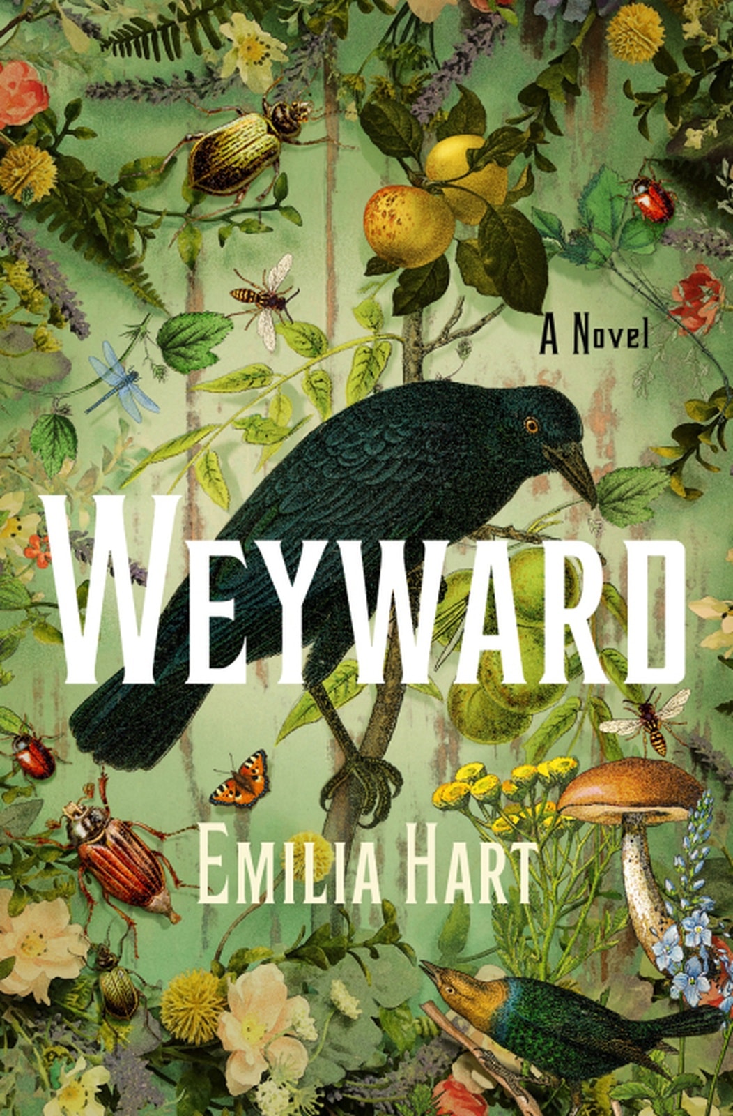 Weyward - Memory Image