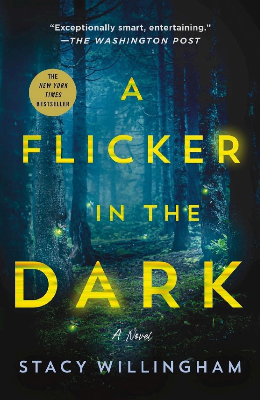 A Flicker in the Dark - Memory Image