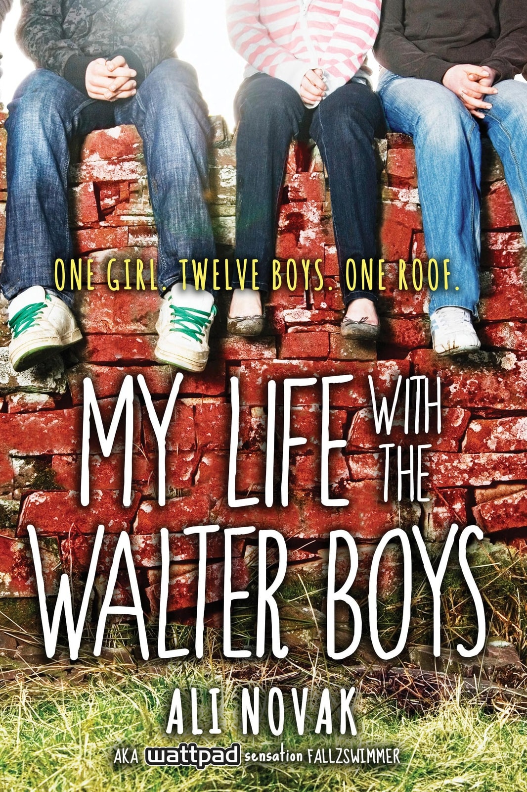 My Life with the Walter Boys - Memory Image
