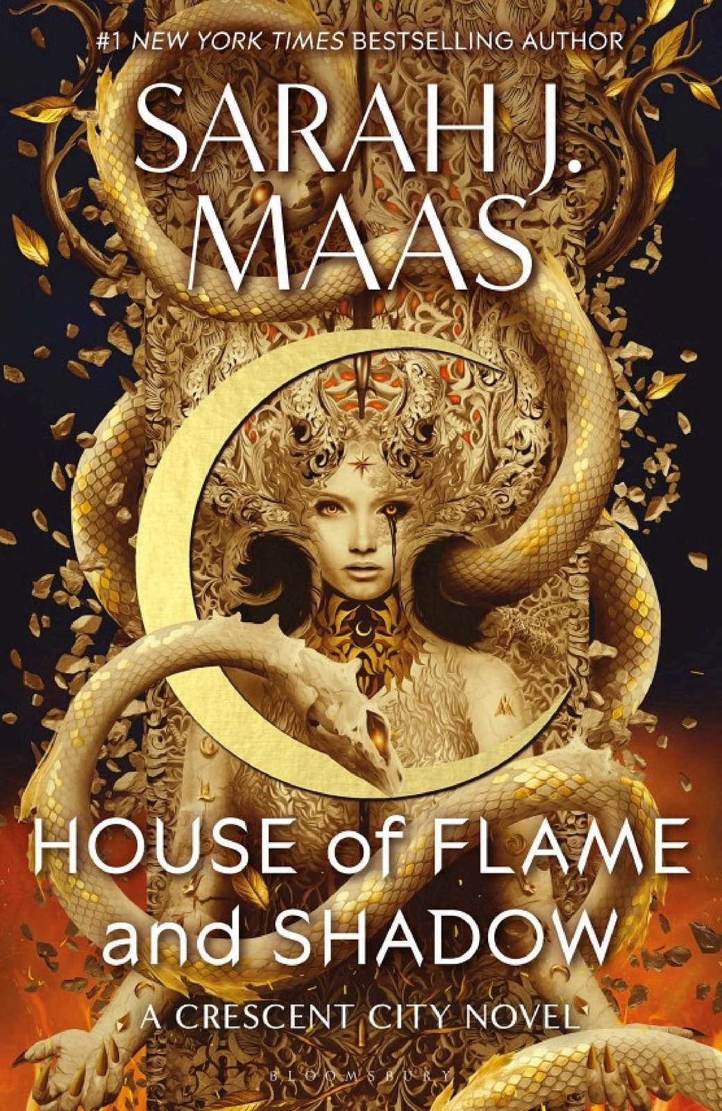 House of Flame and Shadow - Memory Image