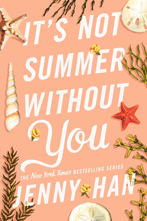 It's Not Summer Without You - Memory Image