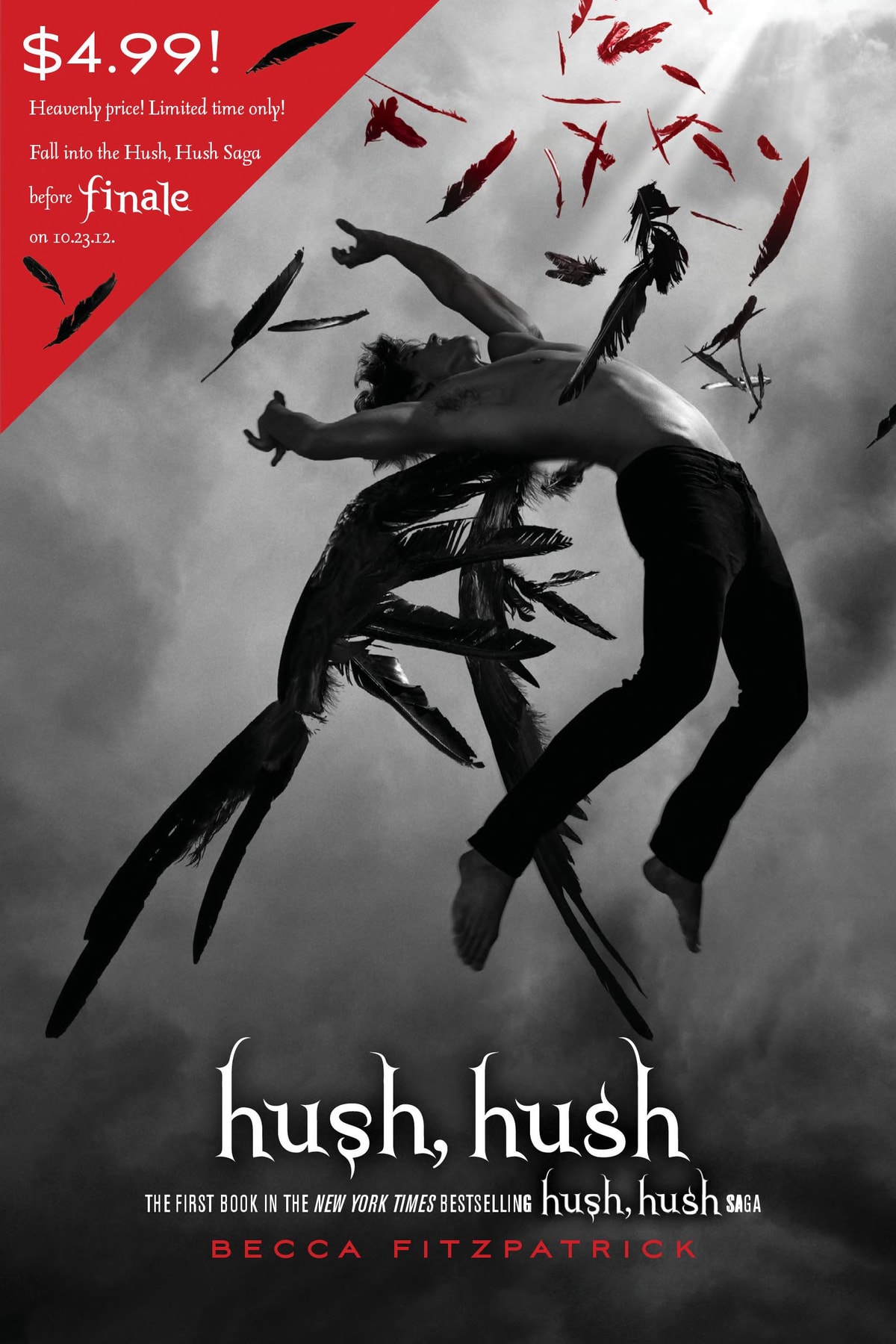 Hush, Hush - Memory Image