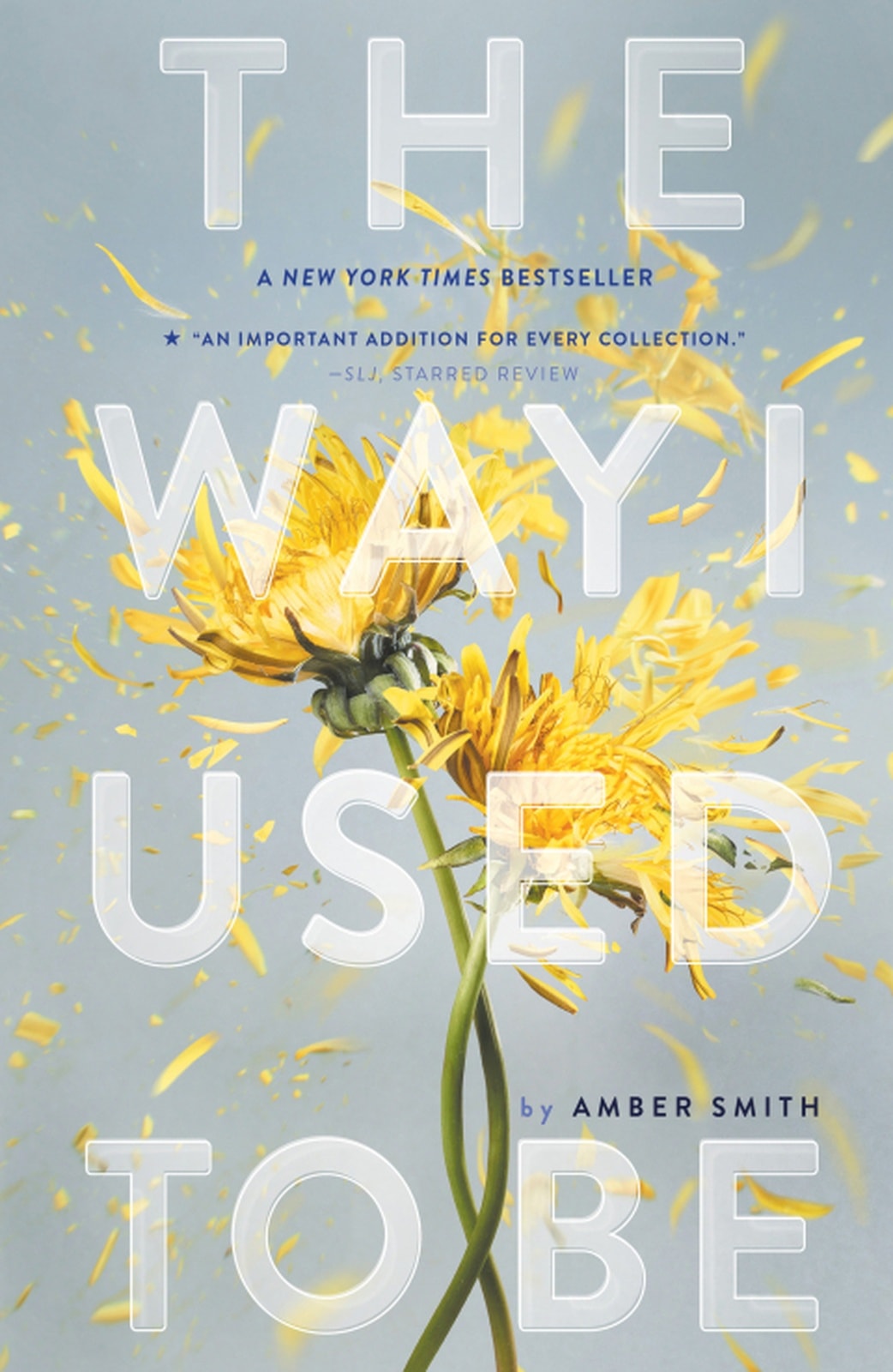 The Way I Used to Be - Memory Image