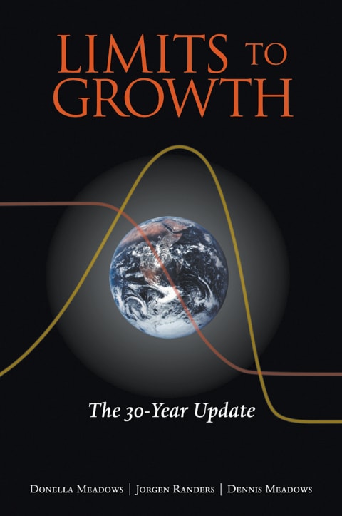 Limits to Growth - Memory Image