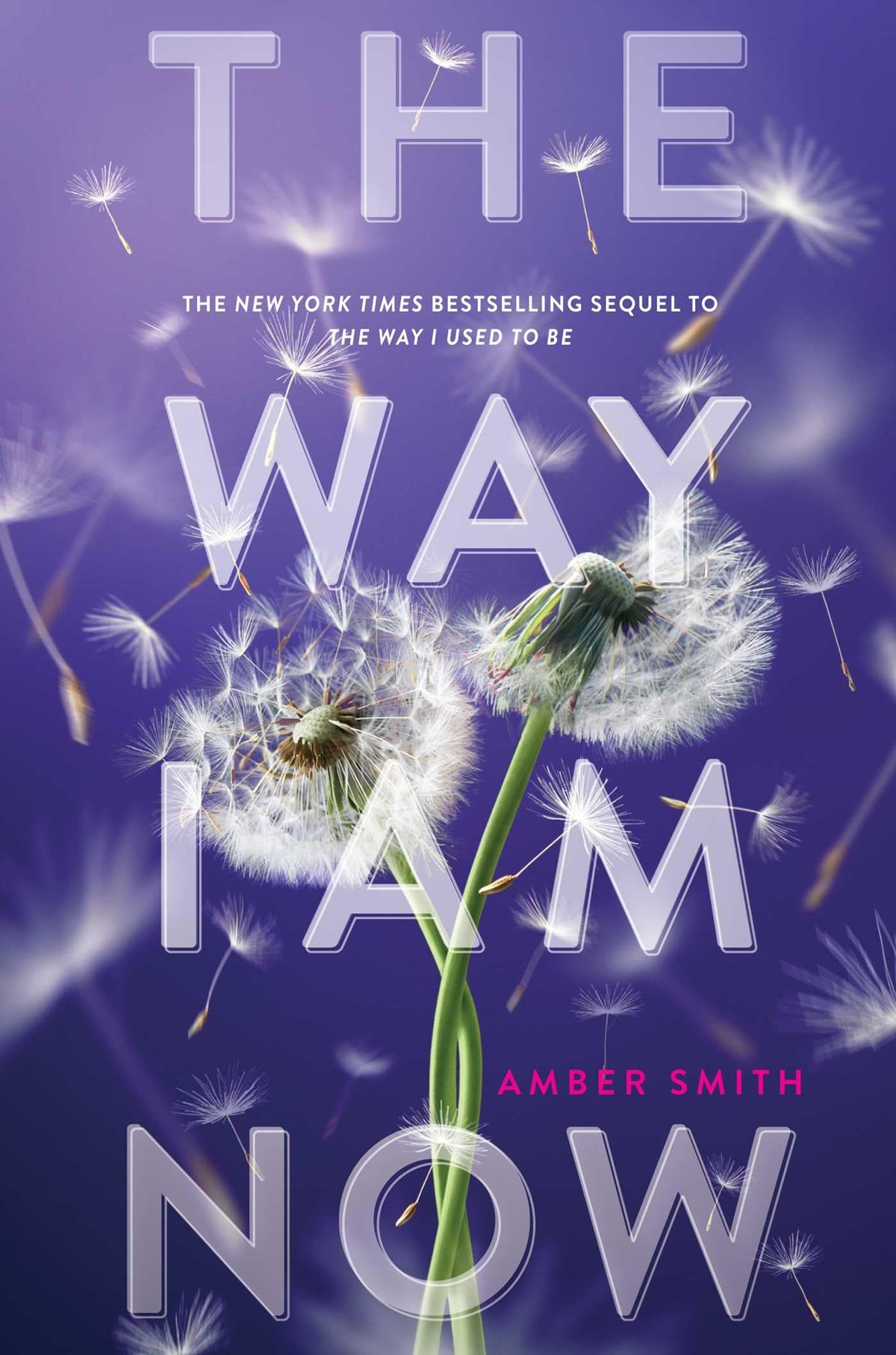 The Way I Am Now - Memory Image