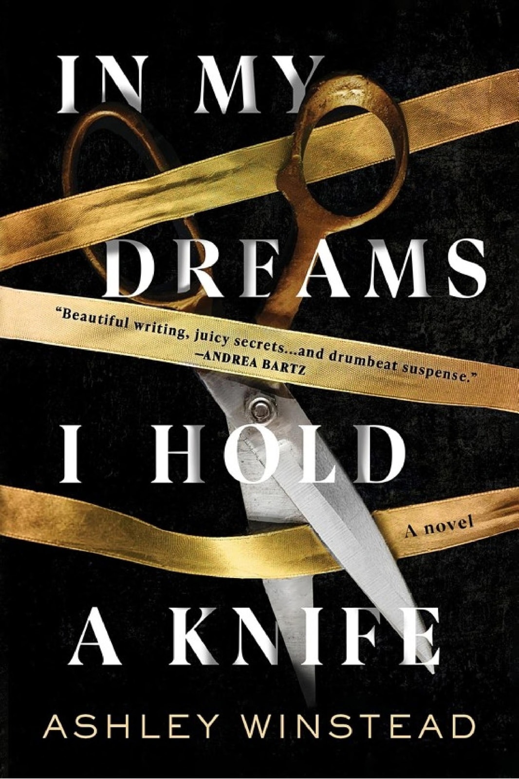In My Dreams I Hold a Knife - Memory Image