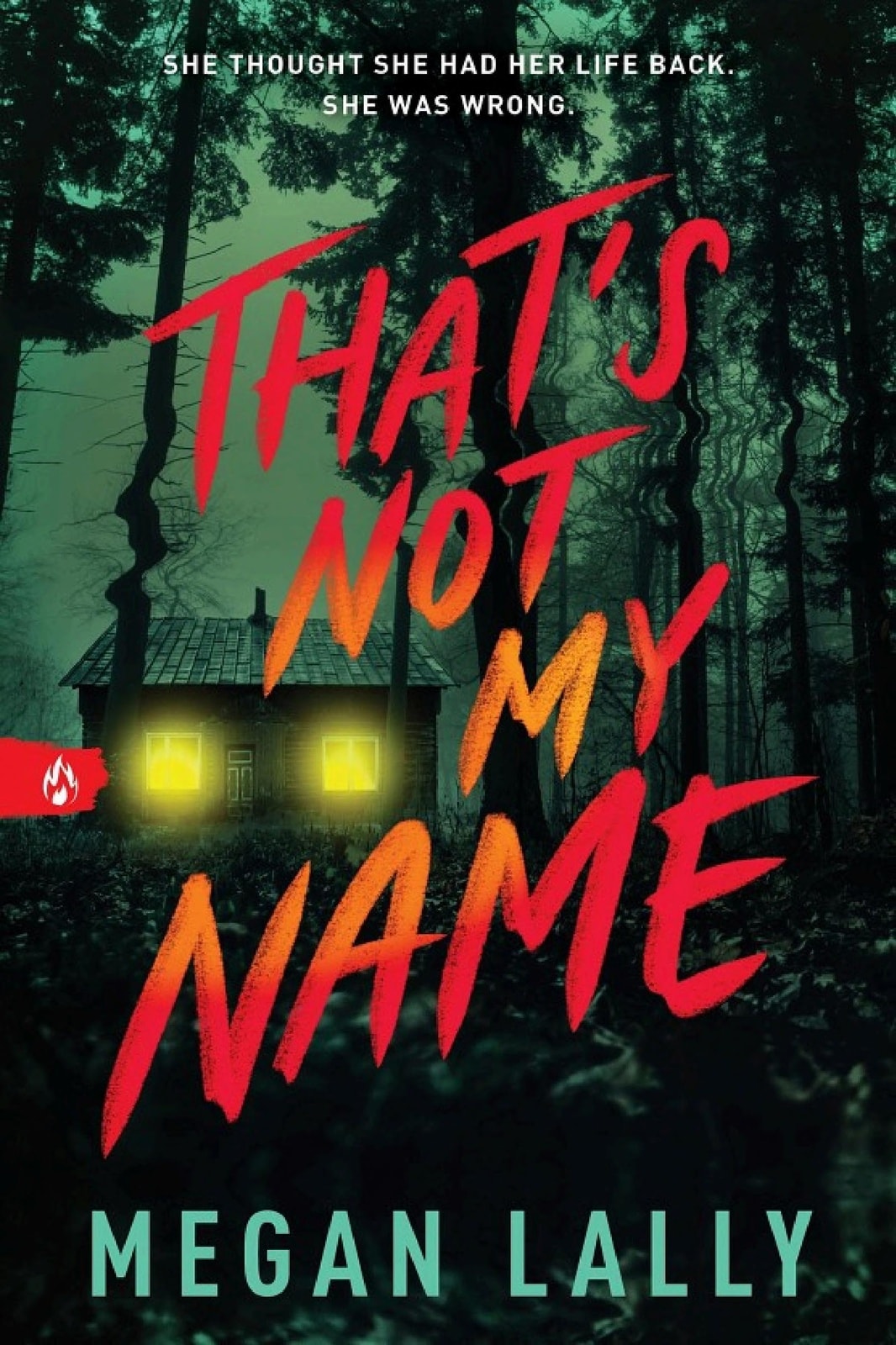 That's Not My Name - Memory Image