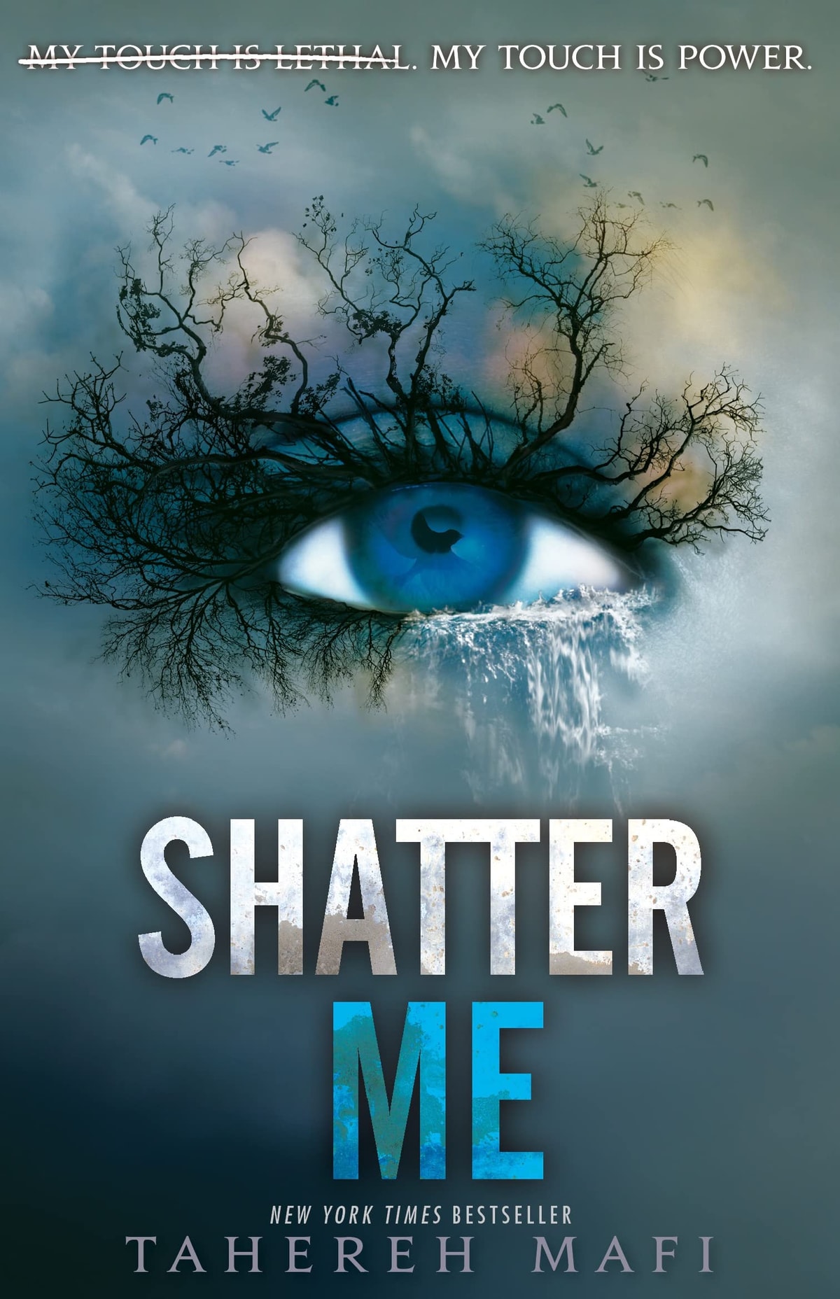 Shatter Me: Shatter Me Series 1 - Memory Image