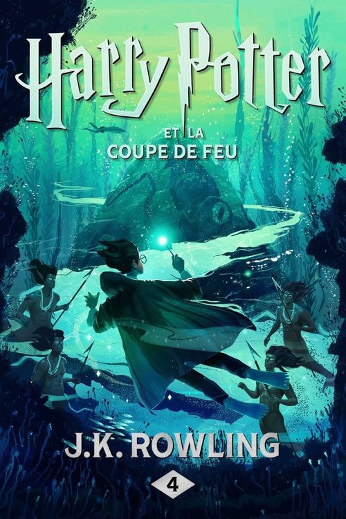 Harry Potter et la Coupe de Feu - Memory Image