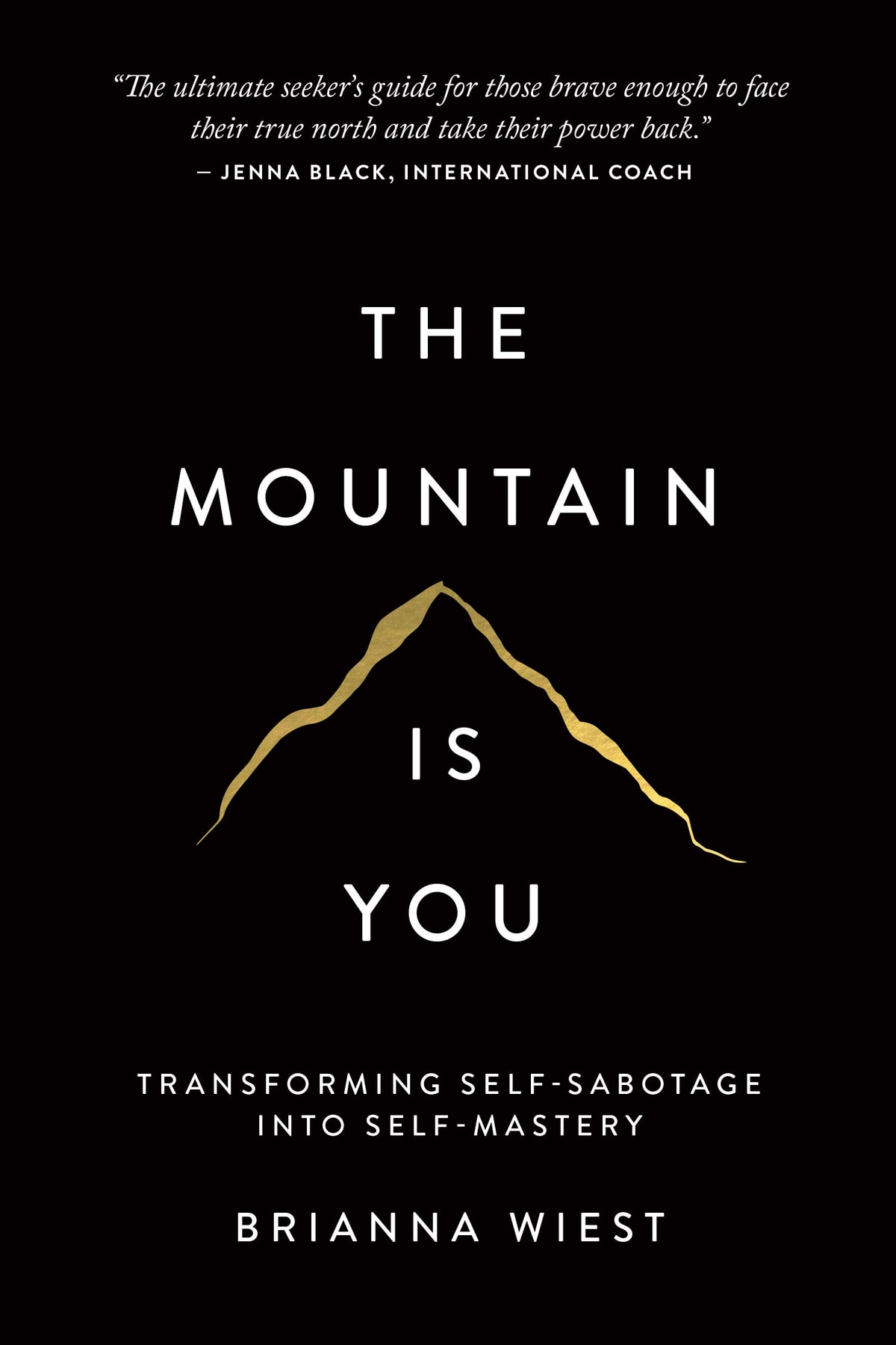 The Mountain Is You - Memory Image