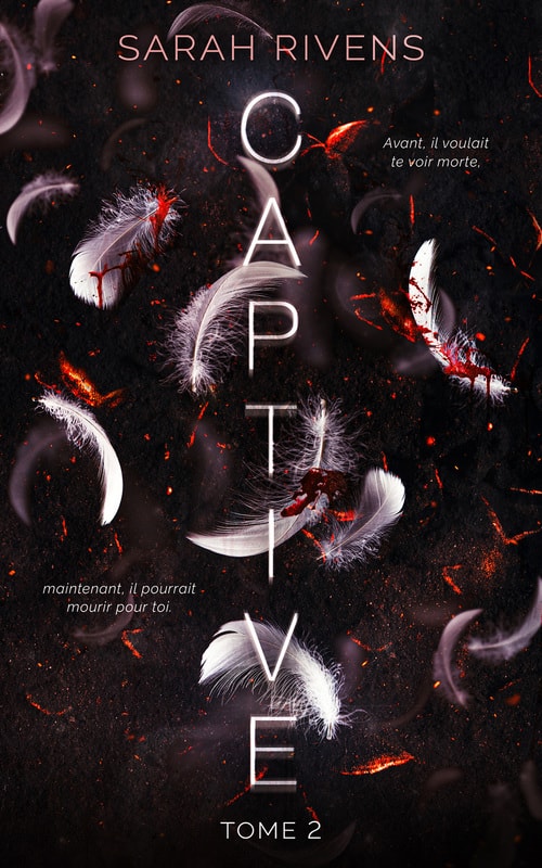 Captive - tome 2 - Memory Image