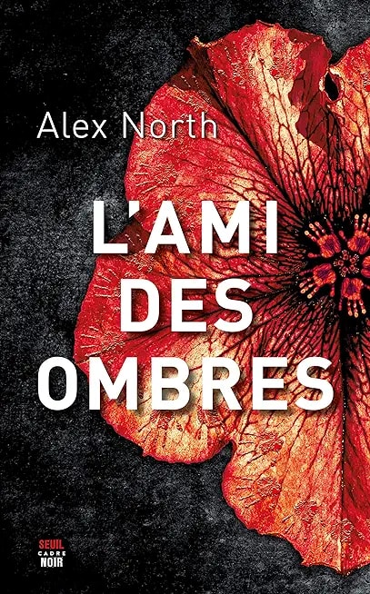 L'Ami des ombres - Memory Image