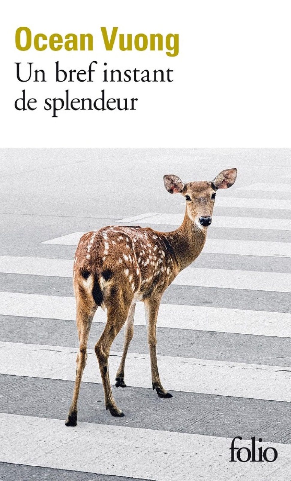 Un bref instant de splendeur - Memory Image