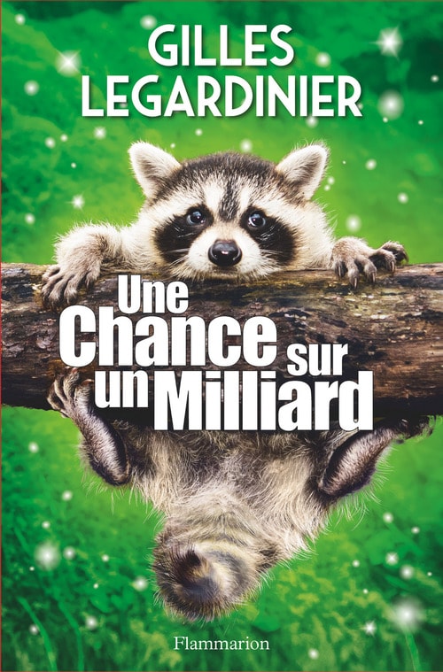 Une chance sur un milliard - Memory Image