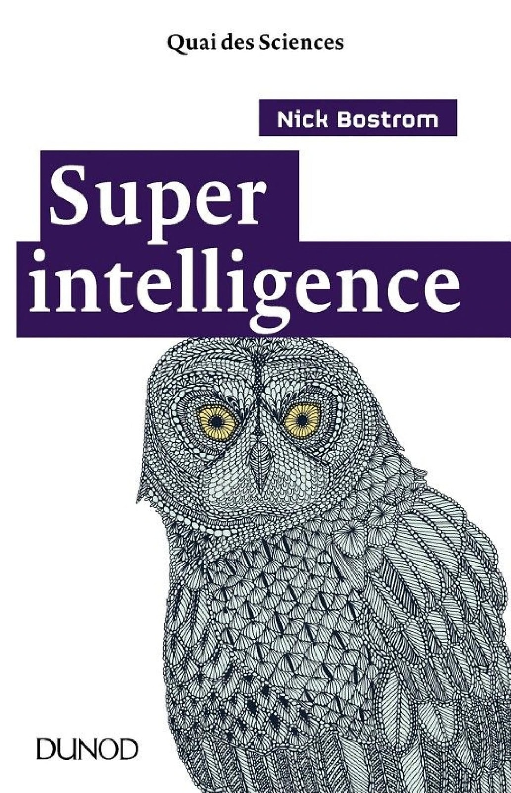 Superintelligence - Memory Image