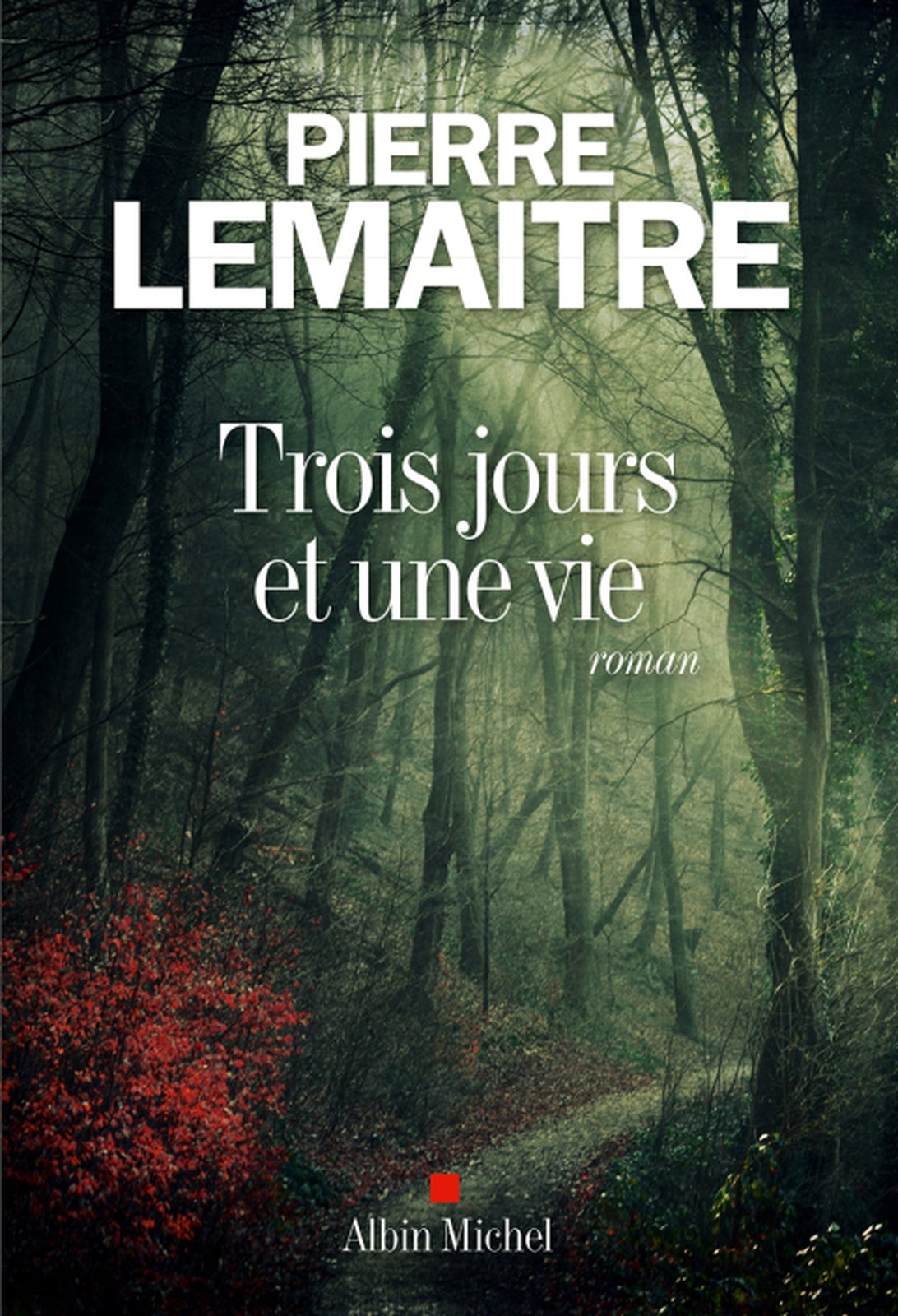 Trois jours et une vie - Memory Image