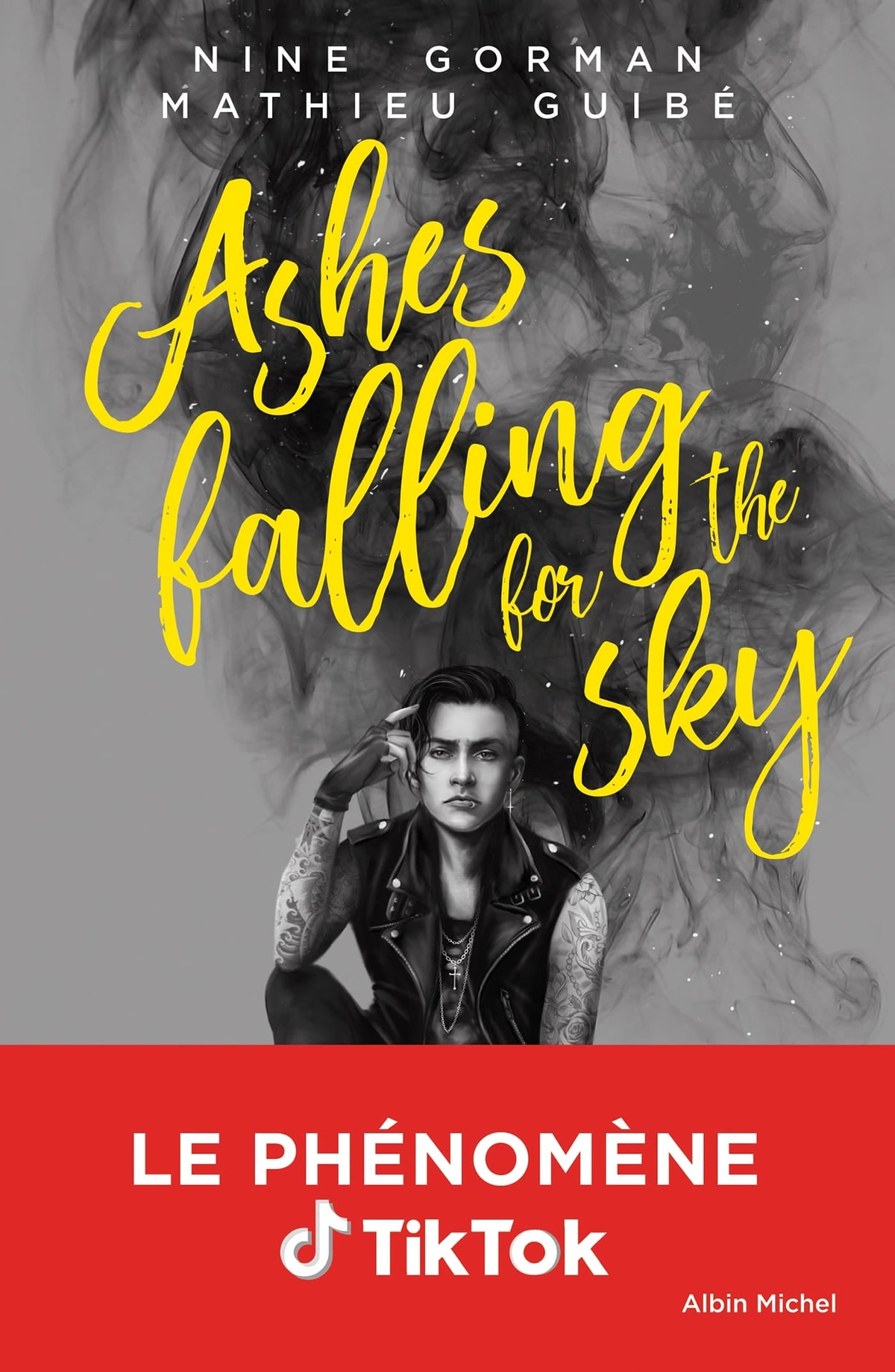 Ashes falling for the sky - Memory Image