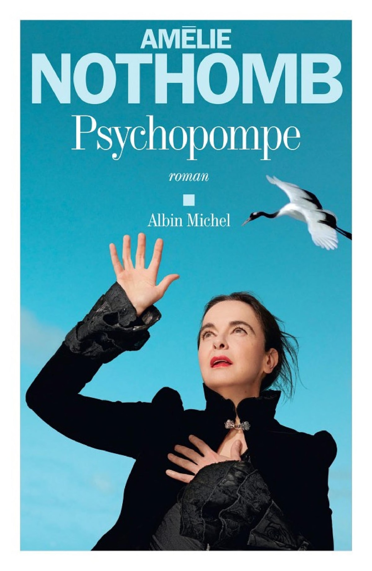 Psychopompe - Memory Image