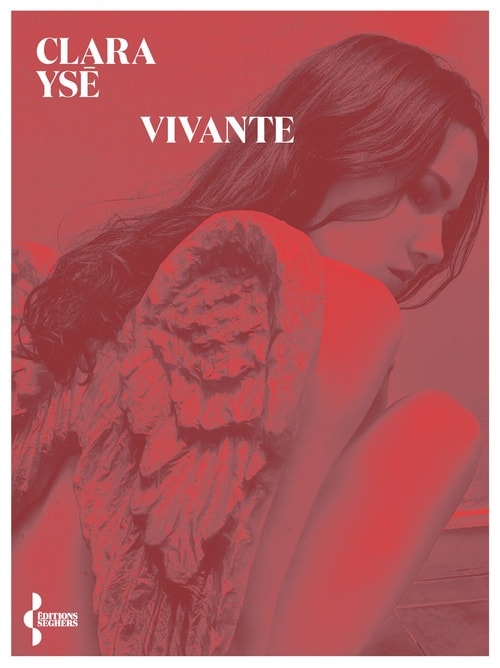 Vivante - Memory Image