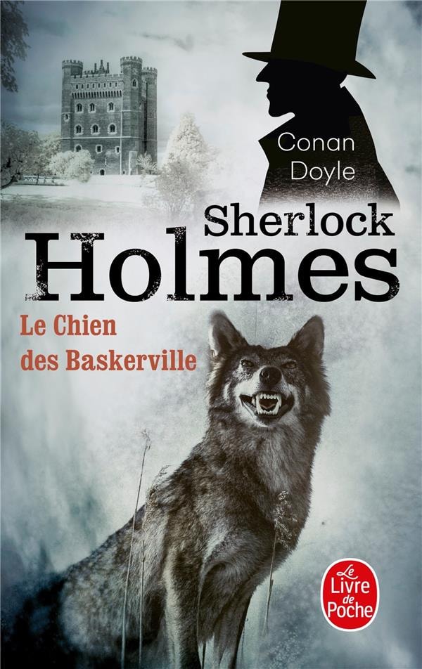 Le chien des Baskerville - Memory Image