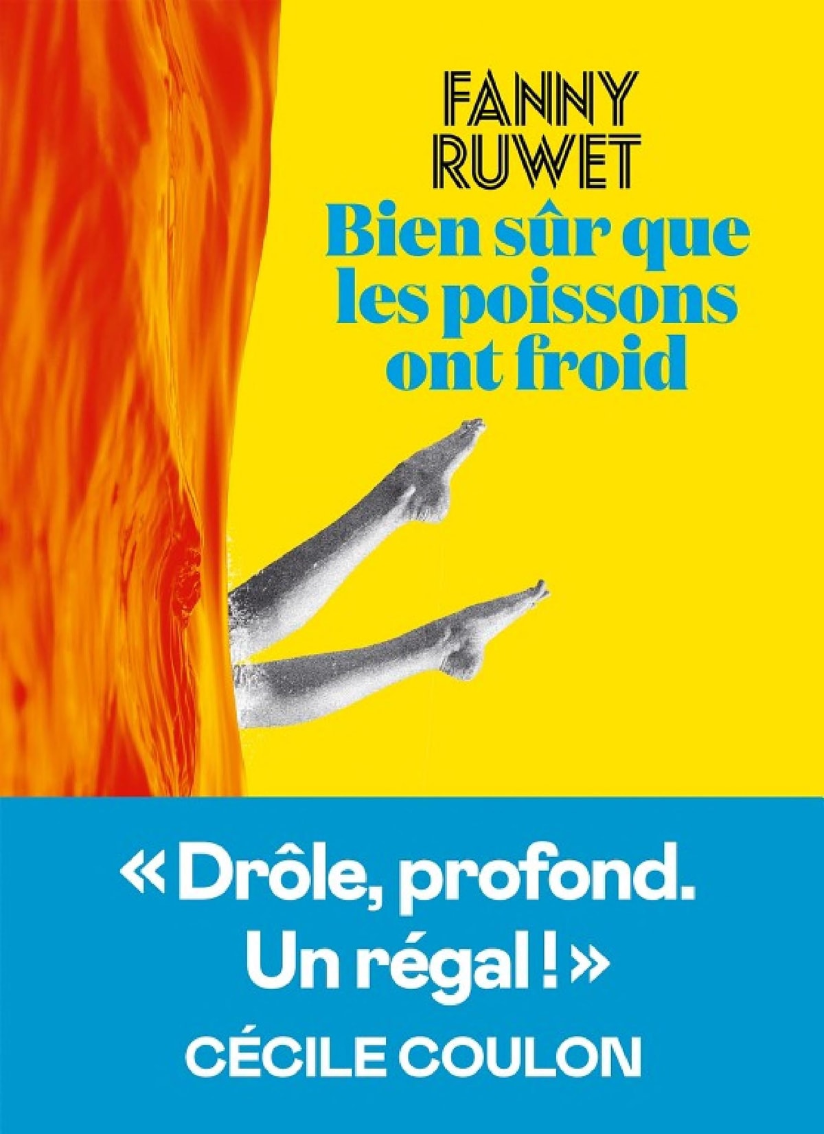 Bien sûr que les poissons ont froid - Memory Image