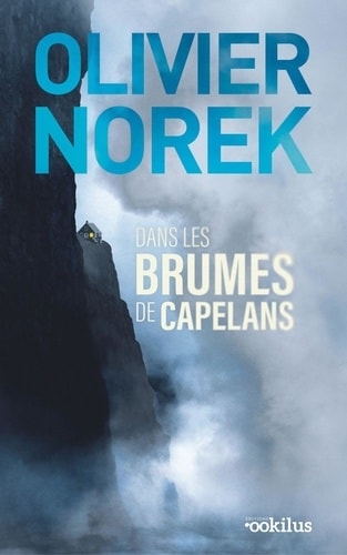 Dans Les Brumes De Capelans - Memory Image